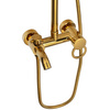 SPRCHOVÁ SADA SENTINI NÁSTĚNNÁ NATRYSKOVÁ S-1191G ZLATÁ