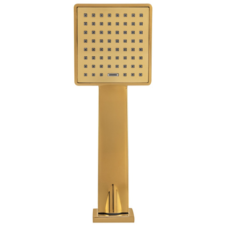 SPRCHOVÁ HLAVICE S-163G ZLATÁ