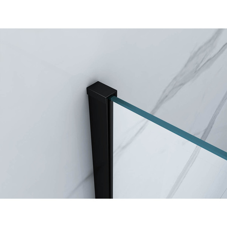 SPRCHOVÁ STĚNA WALK-IN 2-DÍLNÁ 120x50x200 TRANSPARENTNÍ ČERNÁ